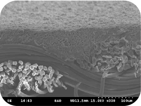 abletex Microporous function info.2