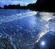 bodytek_seacell01