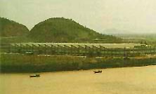 Guangdong China Plants