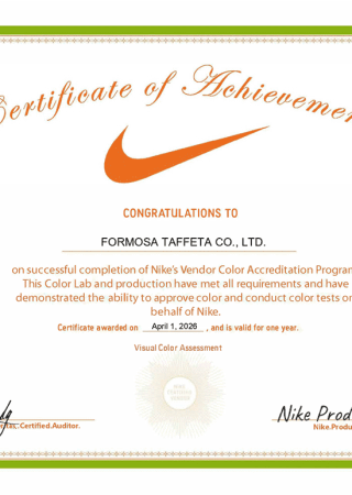 Nike VCA_Visual Color Assessment_FTC