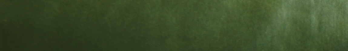 Microporous Coated Fabric