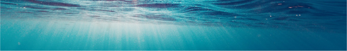 Recycled from the Ocean Waste