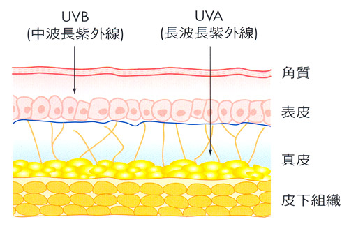 UVoutex Products